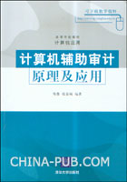 计算机辅助审计原理及应用