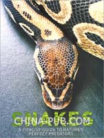 高中英语 动物描写蛇-Snakes作文素材 (doc,高