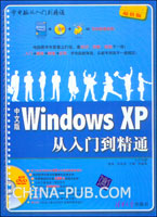 中文版Windows XP从入门到精通(童伟,清华大