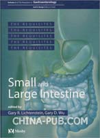 小肠与大肠:肠胃病必备(第2卷):Small and Larg