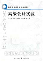 高级会计实验