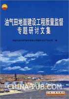 关于油气田地面建设工程项目质量管理的毕业论文的格式范文