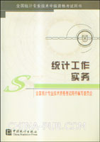 统计工作实务