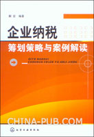 企业纳税筹划策略与案例解读(解宏,化学工业出