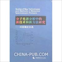 关于计算机软件专利保护问题的毕业论文的格式范文