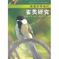 关于新疆哈萨克语种网站现状的毕业论文范文