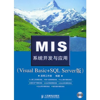 MIS系统开发与应用(Visual Basic+SQL Server